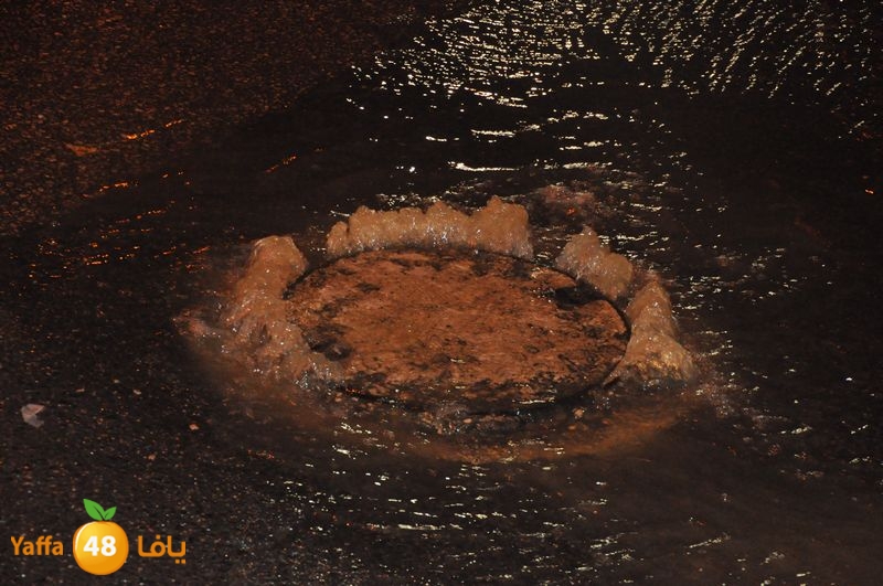 majary wa7a 1204 (1).JPG